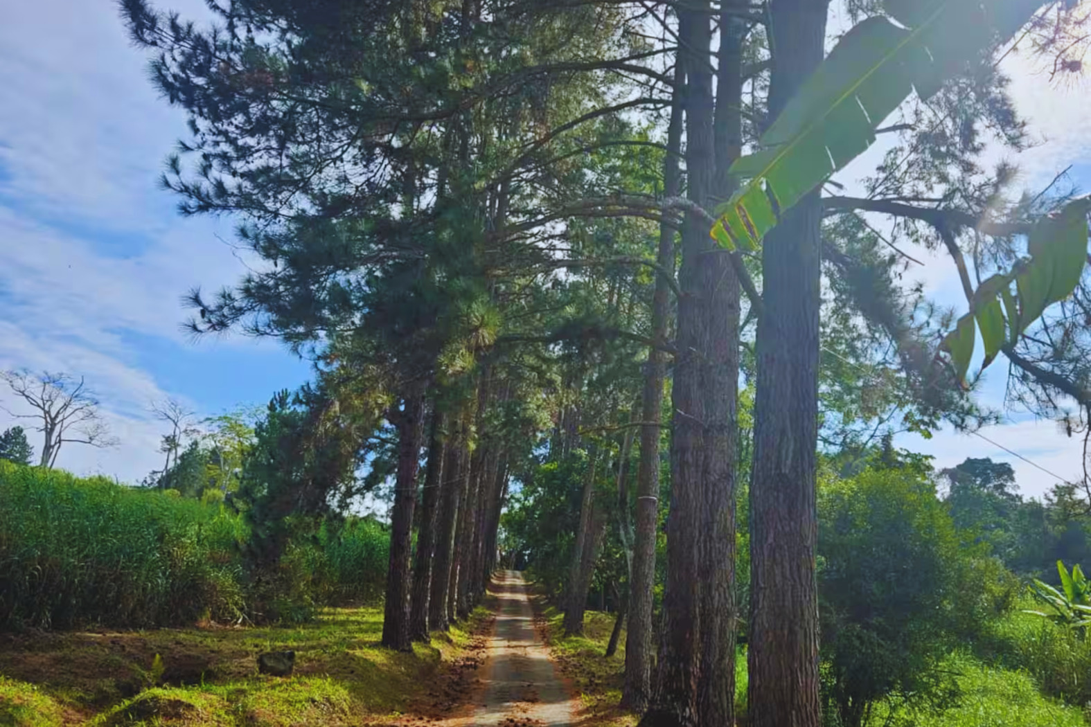 topo-da-serra-sao-roque-sp-2